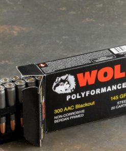 300 BLACKOUT AMMO